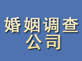 浔阳婚姻调查公司