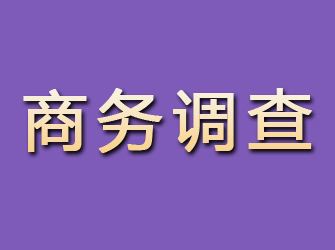 浔阳商务调查